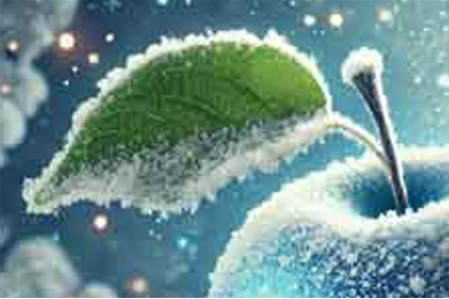 Image Before Upscaling